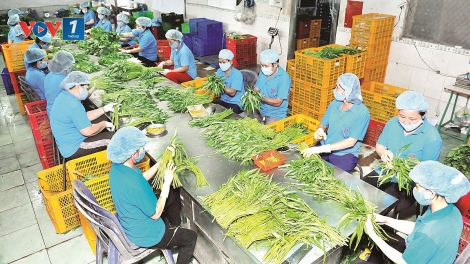 Nhìn lại hoạt động xuất khẩu nông sản và giải pháp cho năm 2019 (24/1/2019)