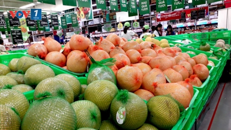 Xuất khẩu trái cây tăng trưởng ngoạn mục năm 2018 (5/1/2019)