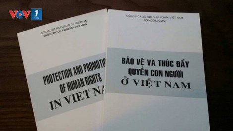 Hoàn thiện hệ thống pháp luật về quyền con người (23/1/2019)