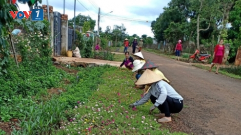 Xuân về trên xã Nông thôn mới Ea Tar,  huyện Cư M’gar, tỉnh Đắk Lắk (25/1/2019)