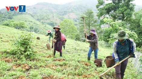 Đổi mới cách giải quyết tình trạng thiếu đất ở , đất sản xuất theo hướng tiếp cận sinh kế bền vững tại vùng đồng bào dân tộc (9/10/2019)