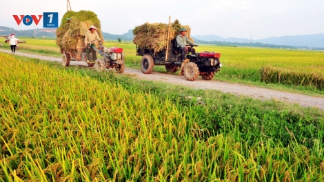 Nhu cầu về lương thực, thực phẩm ngày một gia tăng, vậy làm sao để ổn định và đáp ứng nhu cầu này của người dân? (3/10/2019)