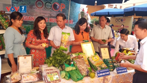 Phát triển mỗi xã một sản phẩm, tạo nguồn lực xây dựng nông thôn mới (8/10/2019)