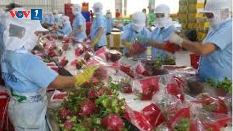 Những vấn đề cần lưu ý đối với xuất khẩu nông thủy sản sang thị trường Trung Quốc (18/10/2019)