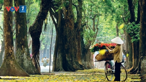 Hà Nội và những cái nhất (5/10/2019)
