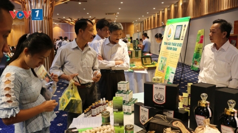 Kết nối thị trường tiêu thụ nông đặc sản vùng miền núi, vùng sâu, vùng xa, biển đảo (30/10/2019)