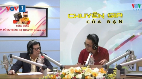 Công dụng của đông trùng hạ thảo đối với bệnh phổi (2/11/2019)