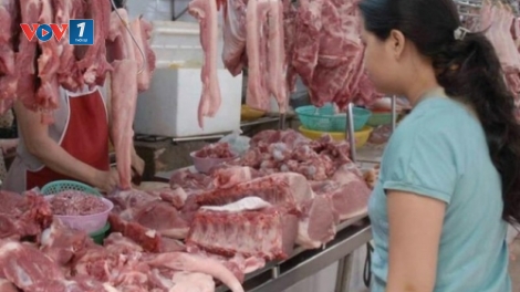 Bình tĩnh để bình ổn giá thịt lợn cuối năm (26/11/2019)