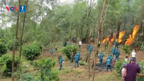 Bắc Giang triển khai các giải pháp phòng chống cháy rừng mùa khô 2019 – 2020 (8/11/2019)