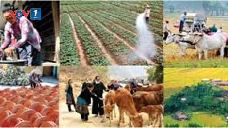 Hiệu quả áp dụng chuẩn nghèo đa chiều theo phương pháp tiếp cận mới (25/11/2019)