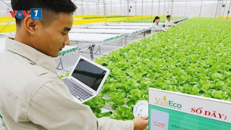 Tìm thị trường cho công nghệ nano trong nông nghiệp (11/11/2019)