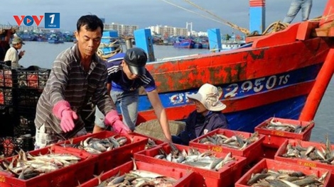 Cần nâng cao tỷ lệ ngư dân ghi chép nhật ký hành trình (28/11/2019)