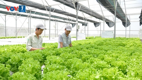 Khởi nghiệp trong lĩnh vực nông nghiệp và vấn đề đào tạo nguồn nhân lực (6/12/2019)