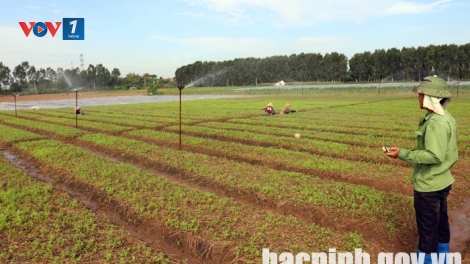 Bắc Ninh chủ động giải pháp cấp nước vụ Đông Xuân 2019 - 2020 (12/12/2019)