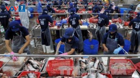 Doanh nghiệp Việt Nam cần nâng cao nhận thức về biện pháp phòng vệ thương mại của các đối tác (24/12/2019)