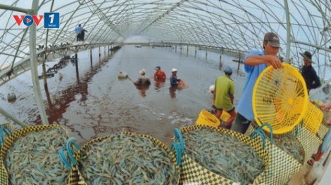 Phát triển ngành thủy sản trước biến đổi khí hậu (25/12/2019)