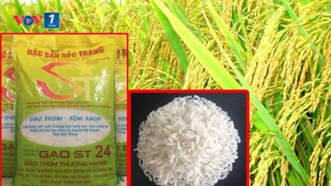 Việt Nam có gạo ngon nhất thế giới và việc phát triển thương hiệu gạo Việt (8/12/2019)