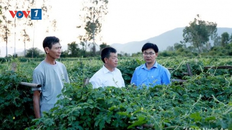 Làm gì để đánh giá, xếp loại chất lượng tổ chức Đảng và đảng viên cuối năm đảm bảo chất lượng? (17/12/2019)