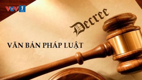 Nâng cao chất lượng công tác xây dựng Luật (4/12/2019)