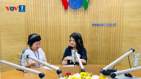 Tư vấn du lịch mùa xuân (15/12/2019)