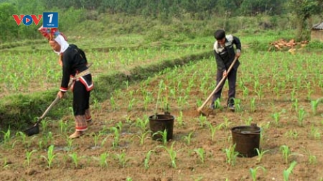 Giải quyết đất ở, đất sản xuất cho vùng đồng bào dân tộc thiểu số, những vấn đề đặt ra (7/12/2019)