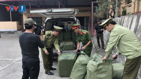 Lạng Sơn: Thu giữ 600kg nầm lợn đã bốc mùi hôi, thối (3/12/2019)
