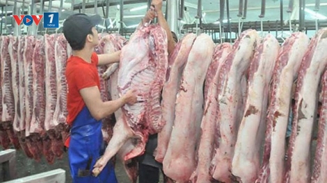 Giá thịt lợn và một năm “sóng gió” của ngành chăn nuôi – thú y (26/12/2019)