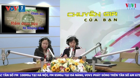 Kỹ thuật nuôi cấy và chăm sóc nấm dược liệu từ nhộng tằm (24/12/2019)