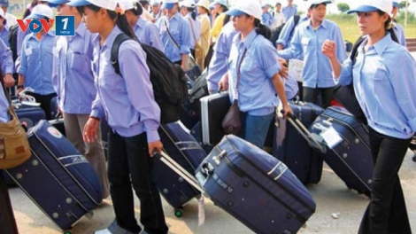 Loạt bài “Xuất khẩu lao động - nỗi đau còn đó” - Bài đầu tiên: “Canh bạc may rủi” (10/12/2019)