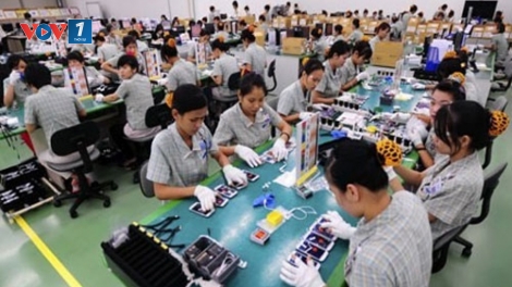 Xu hướng du học và làm việc tại nước ngoài trong năm 2019