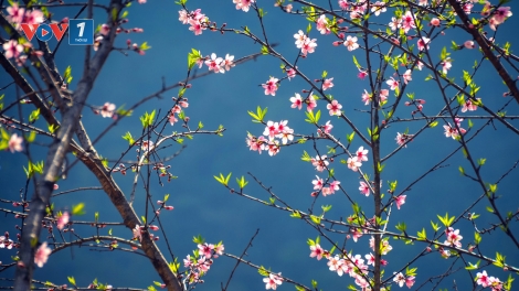 Chương trình Tết Kỷ Hợi 2019: Hào khí Lạc Hồng-Khơi nguồn cảm hứng.<br>Tùy bút: “Nào ai có nghĩa, có tình, lại đây!” (5/2/2019)