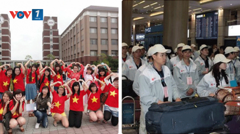 Tư vấn việc làm: Xu hướng du học và làm việc ở nước ngoài năm 2019 (12/2/2019)