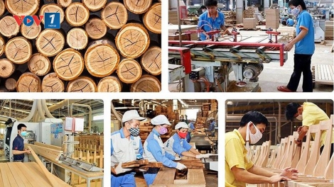 Chế biến, xuất khẩu gỗ - giải pháp bứt phá năm 2019 (22/2/2019)