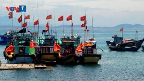 Không khí vươn khơi đầu năm của ngư dân tại nhiều tỉnh thành trên cả nước (13/2/2019)