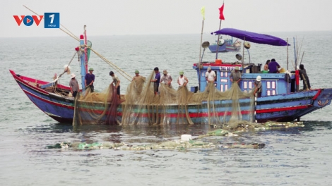 Bình Định phát huy vai trò cộng đồng trong bảo vệ nguồn lợi thủy sản (11/2/2019)