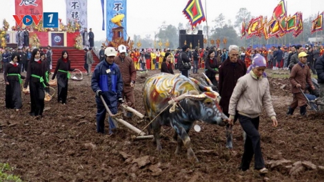 Lễ Tịch điền: Sá cày trọng nông cho năm mới (11/2/2019)