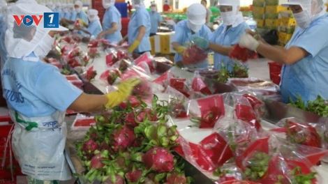 Thay đổi tư duy xuất khẩu nông sản (13/3/2019)