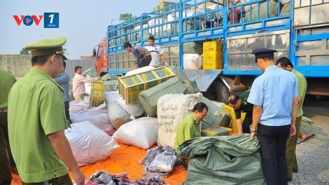 Nâng cao hiệu quả công tác chống buôn lậu, gian lận thương mại, hàng giả (8/3/2019)