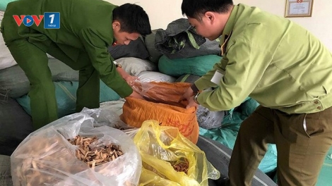 Quản lý thị trường Hà Nội: Thu giữ hơn 7 tấn thảo dược không rõ nguồn gốc (29/3/2019)