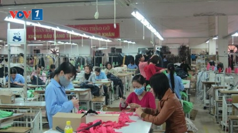 Công tác phát triển đảng trong các doanh nghiệp tư nhân (5/3/2019)