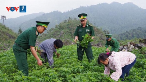 Bộ đội Biên phòng tham gia phát triển kinh tế gắn với bảo vệ chủ quyền, an ninh biên giới quốc gia (3/3/2019)