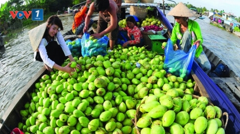 Giải pháp tăng giá trị nông sản nhờ phát triển du lịch (12/3/2019)