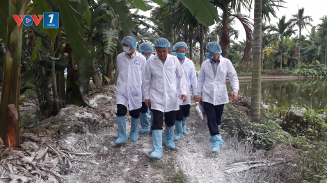 Chống dịch phải như chống giặc (5/3/2019)