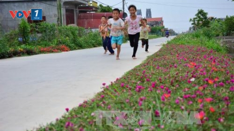 Xây dựng Nông thôn mới thành công tại Nam Định nhờ sự đồng thuận của người dân (17/3/2019)