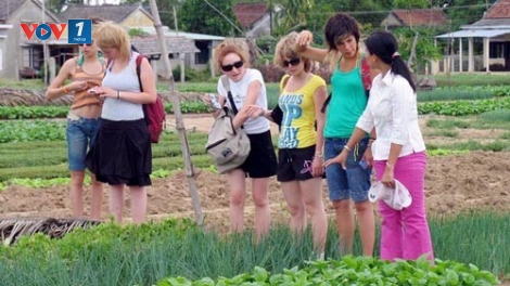 Phát triển du lịch nông nghiệp, nông thôn gắn với xây dựng nông thôn mới (24/3/2019)