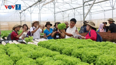 Giải pháp khuyến khích nông dân áp dụng các sản phẩm khởi nghiệp nông nghiệp công nghệ cao (9/3/2019)
