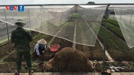 Thay đổi tập quán sử dụng phân bón hướng đến sản xuất an toàn (11/3/2019)