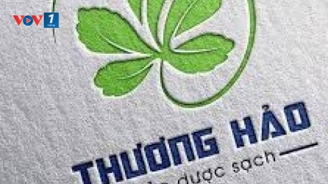 Góp vốn bằng hoạt động PR – băn khoăn của thảo dược Thương Hảo (24/3/2019)