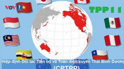 3 tháng Hiệp định Đối tác toàn diện và tiến bộ xuyên Thái Bình Dương (CPTPP) có hiệu lực: những yêu cầu đặt ra trong thời gian tới (14/4/2019)