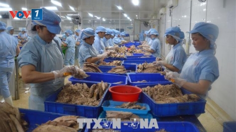 Cấp bách khắc phục cảnh báo thẻ vàng IUU (25/4/2019)